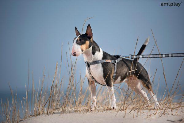 Nastavljiva ovratnica London