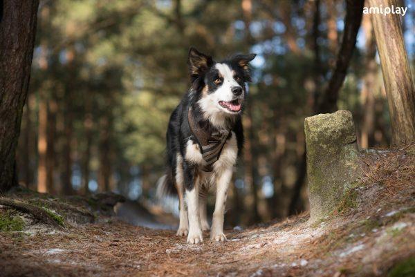 Oprsnica Scout London