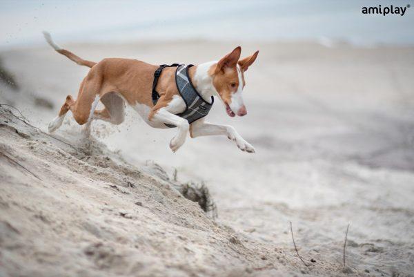 Oprsnica Scout London