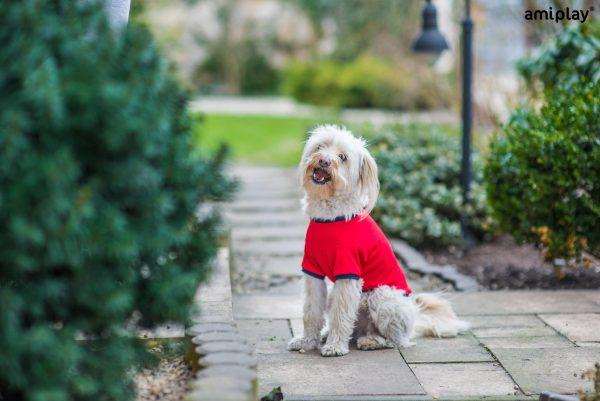 T-shirt majica z ovratnikom Miami