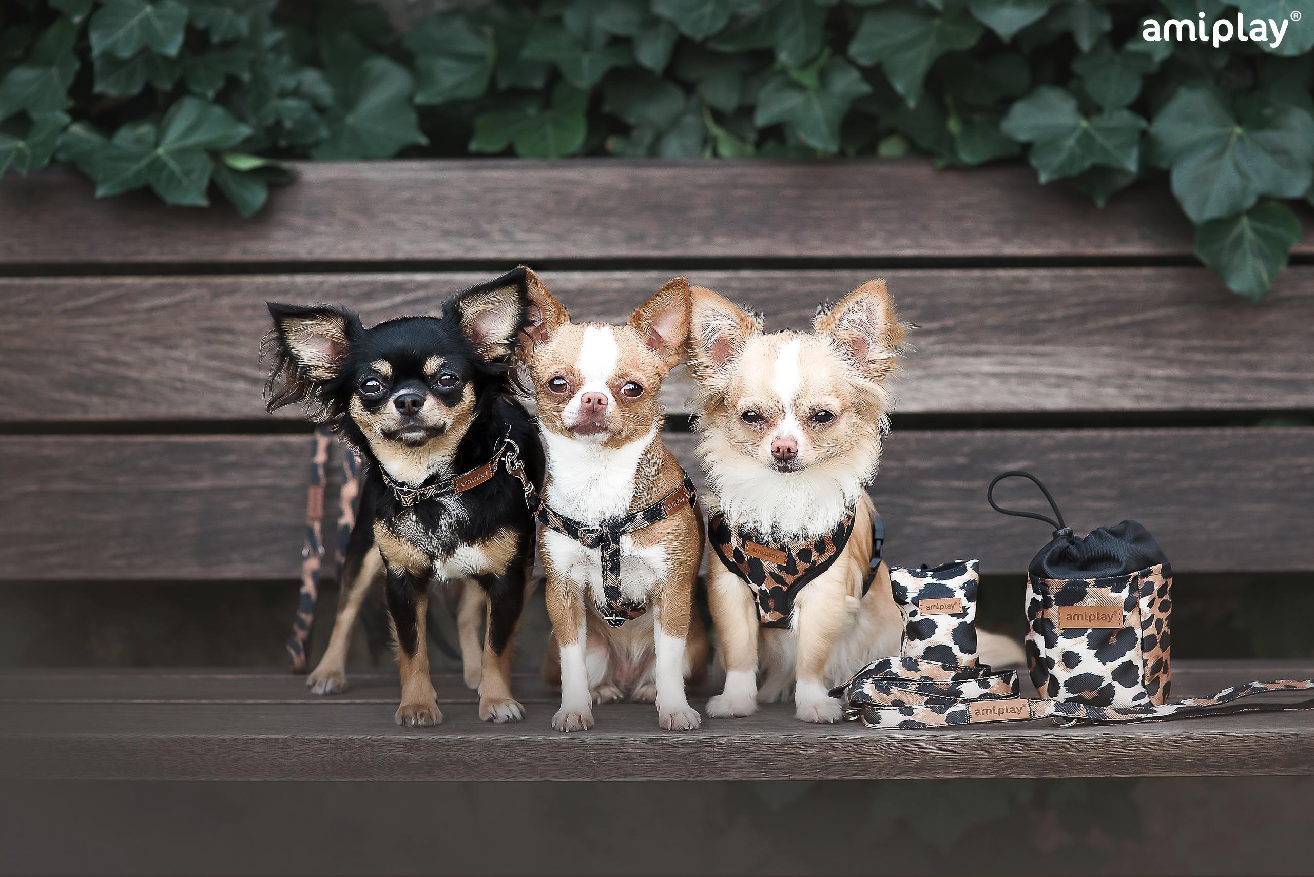 Torbica za drečke (vrečke za kakce) Safari - slika 4