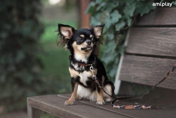 Nastavljiva ovratnica Safari