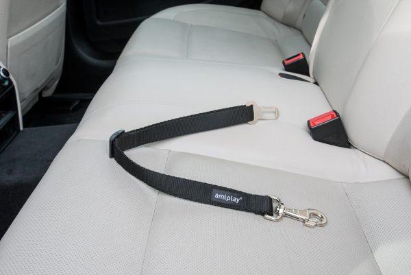 Varnostni pas - povodec Basic