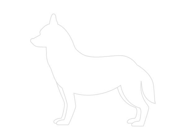 Povodec za psa Samba