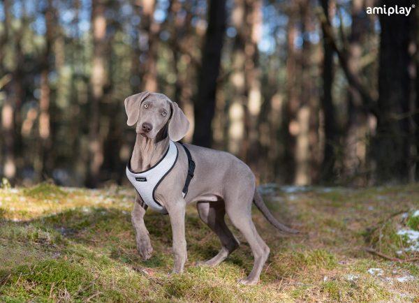 Oprsnica Scout Denver