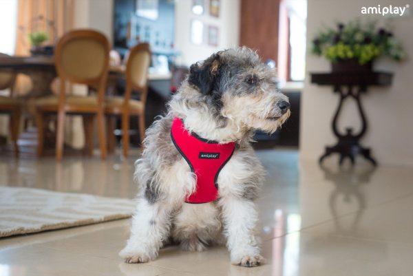 Oprsnica Scout Denver