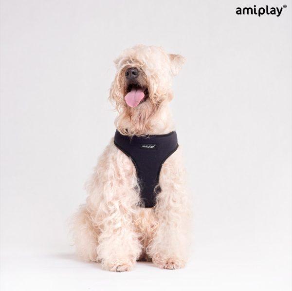 Oprsnica Scout Denver