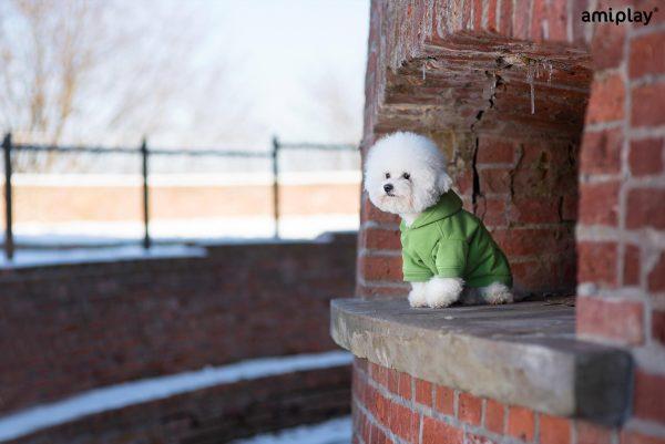 Jopič s kapuco Hoodie Texas