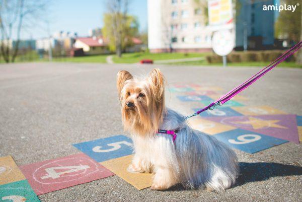 Nastavljiva oprsnica Twist