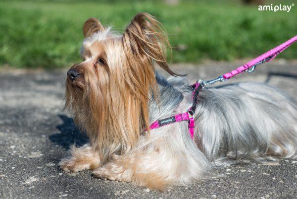 Nastavljiva oprsnica Twist