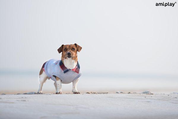 Pulover z ovratnikom Winston