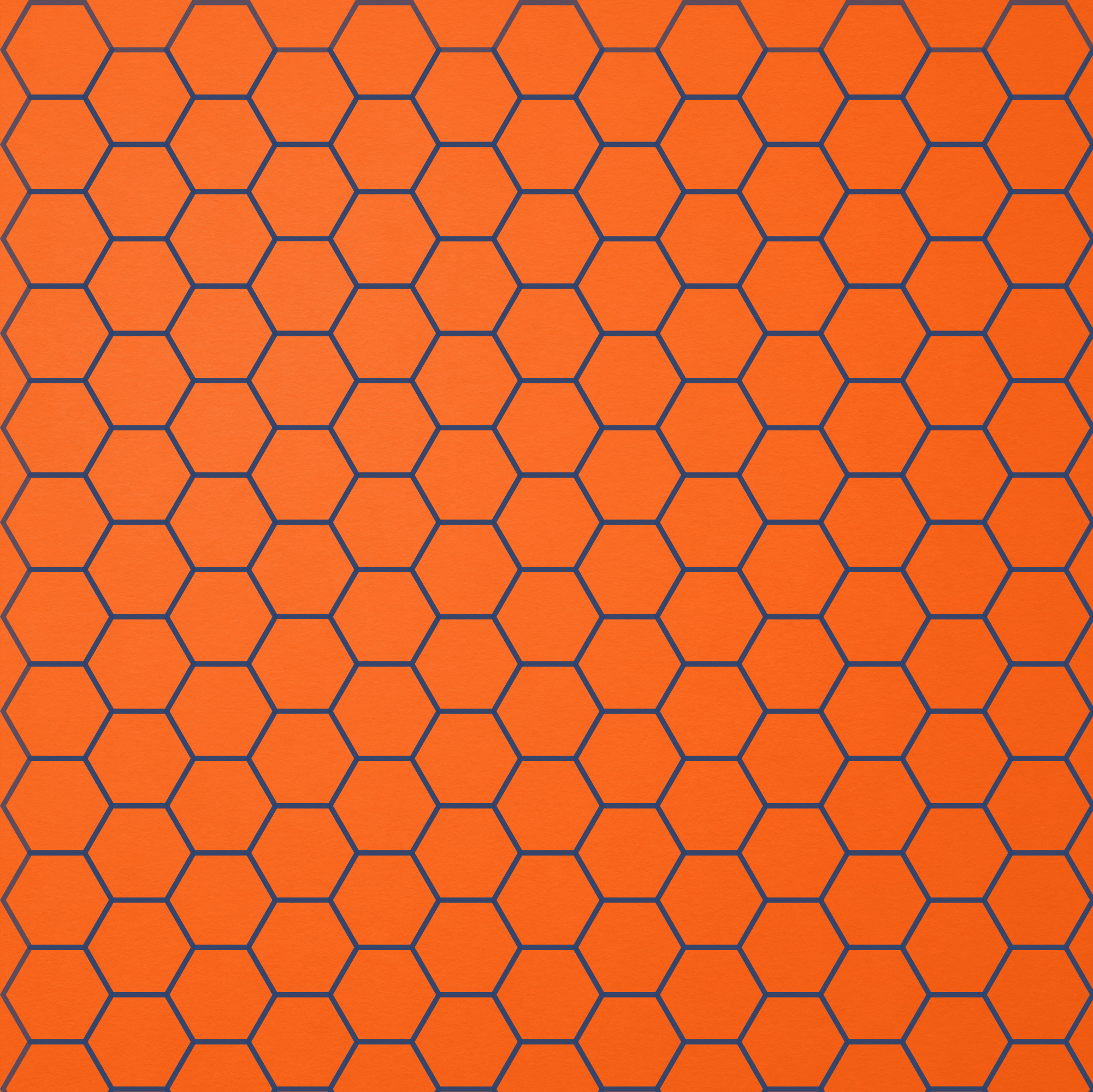 Delovni in sledni povodec - HEXA BioThane FLEX - 10m - slika 11