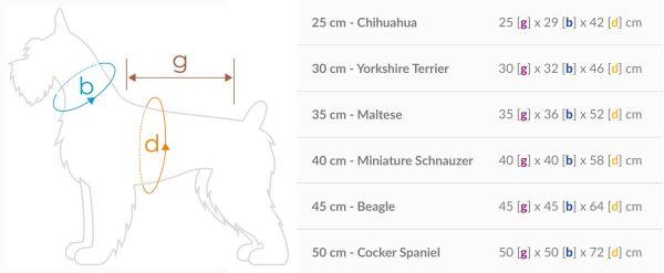 Jopič s kapuco Hoodie Texas