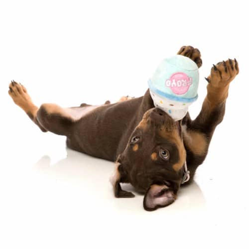 FROYO JOGURT pliško - slika 2