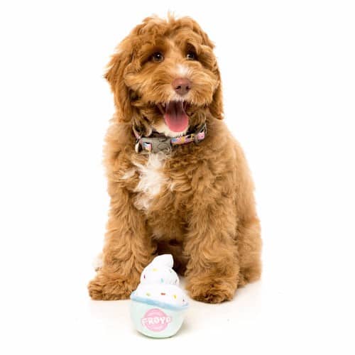 FROYO JOGURT pliško - slika 4