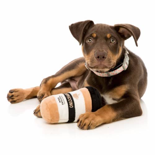 PUPPUCCINO COFFEE pliško