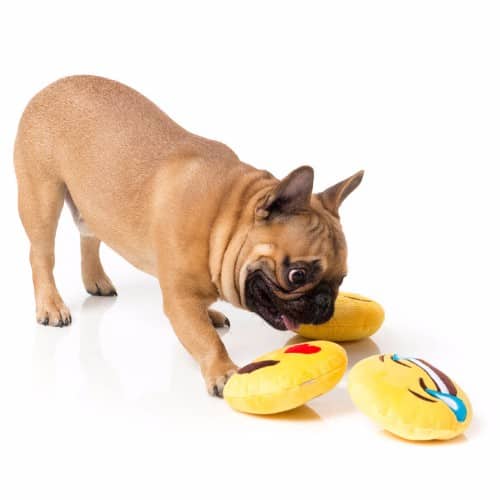 BAHAHA smeško - slika 3