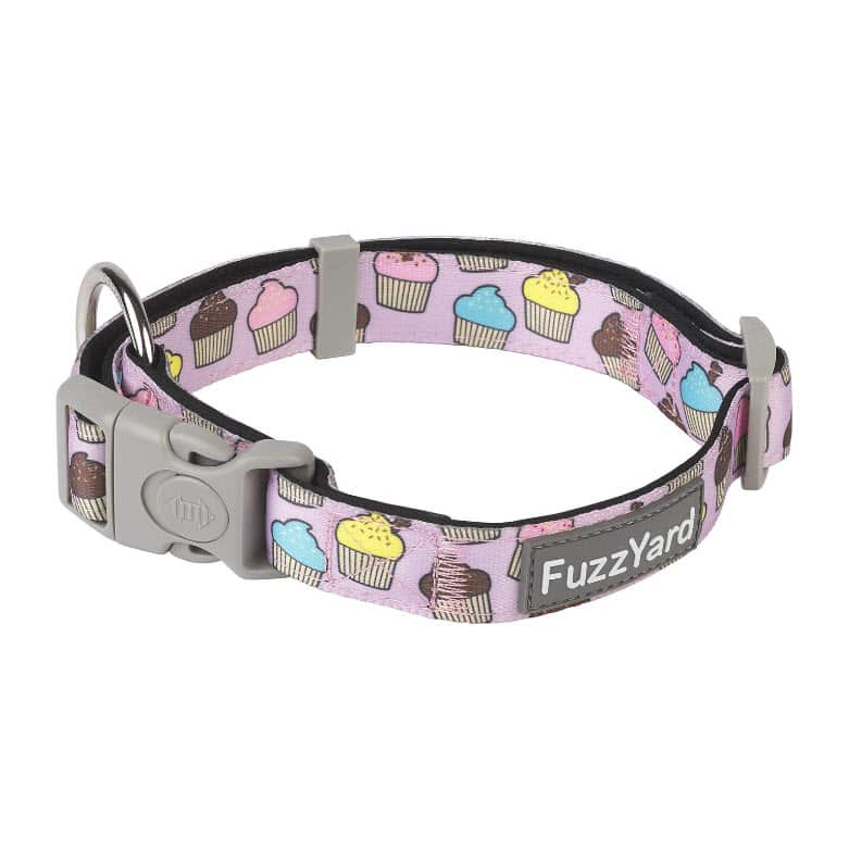 FRESH pasja ovratnica