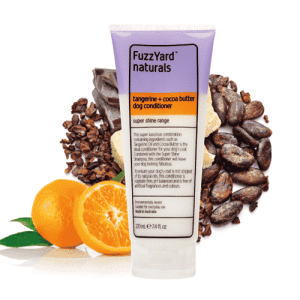 SUPER SHINE regenerator