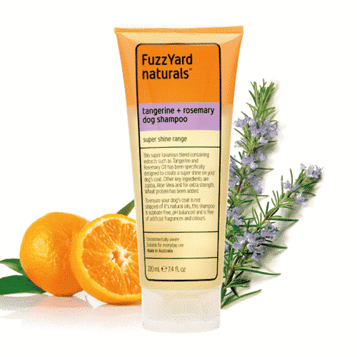 PUPPY regenerator - slika 8