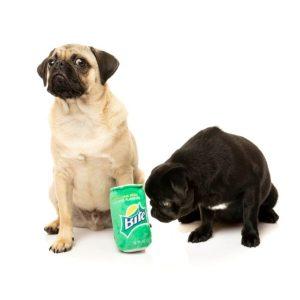 plišasta igrača BITE in dva psa