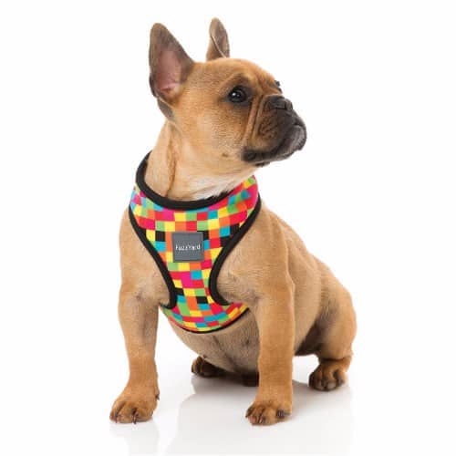 harness_1983_6 1983 pasja oprsnica