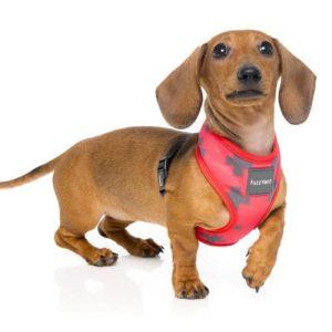 EL FUEGO YEEZY pasja oprsnica