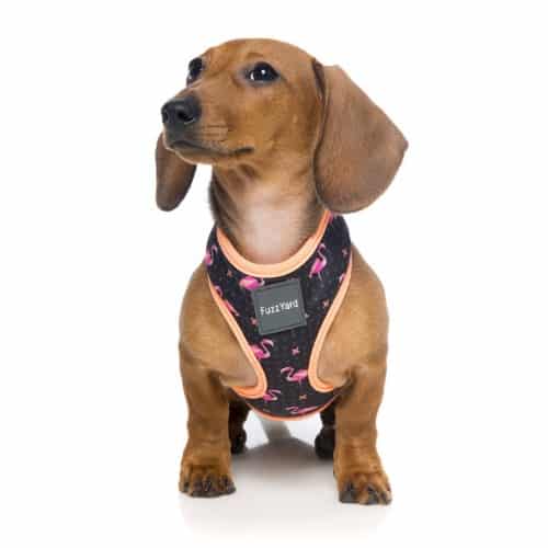 harness_FABmingo FABMINGO oprsnica