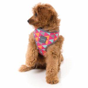 CRUSH pasja oprsnica