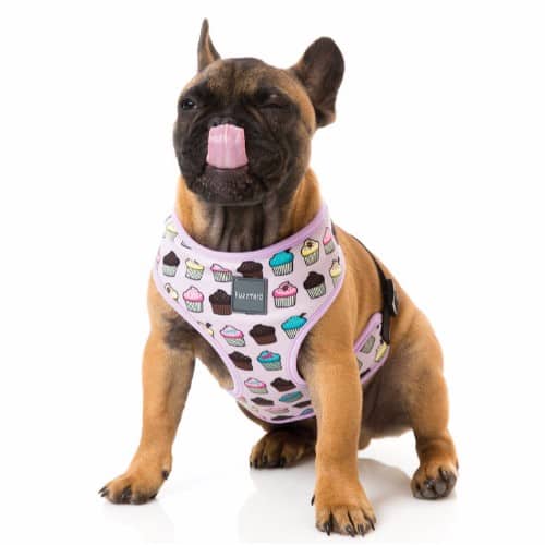 harness_fresh FRESH pasja oprsnica