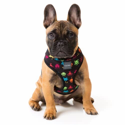 SPACE RAIDERS pasja oprsnica