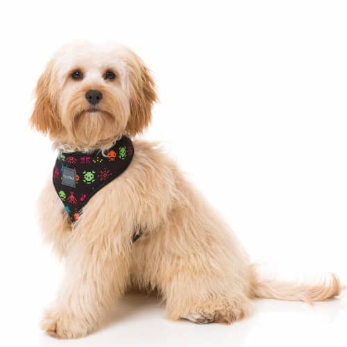 SPACE RAIDERS pasja oprsnica