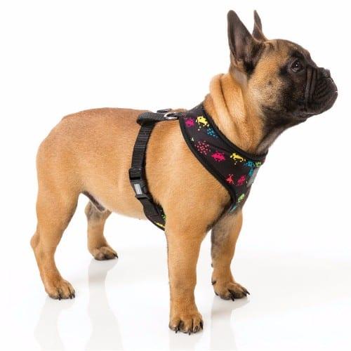 SPACE RAIDERS pasja oprsnica