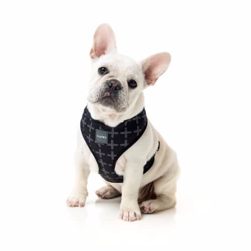 harness_yeezy YEEZY pasja oprsnica