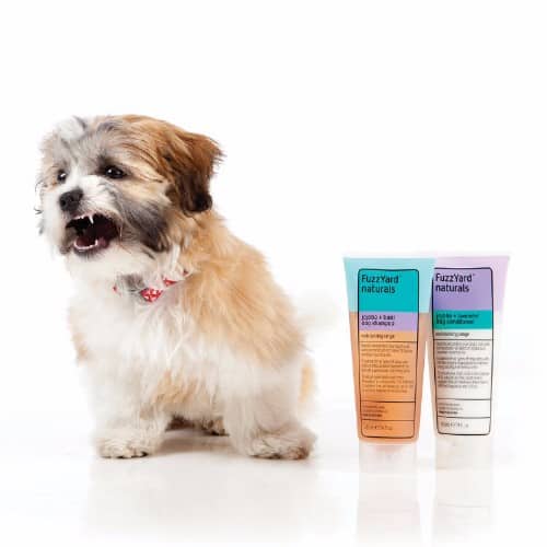 PUPPY regenerator - slika 4