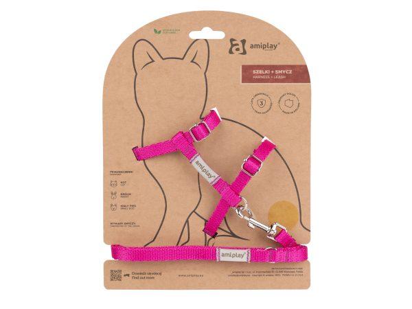 Komplet oprsnica in povodec Samba