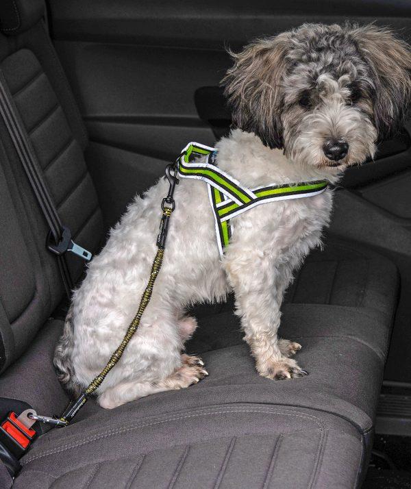 IdeaLeash Flextender adapter proti vlečenju na povodcu MEDIUM