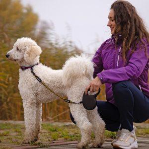 Alternative view of IdeaLeash Flextender adapter proti vlečenju na povodcu MAXI