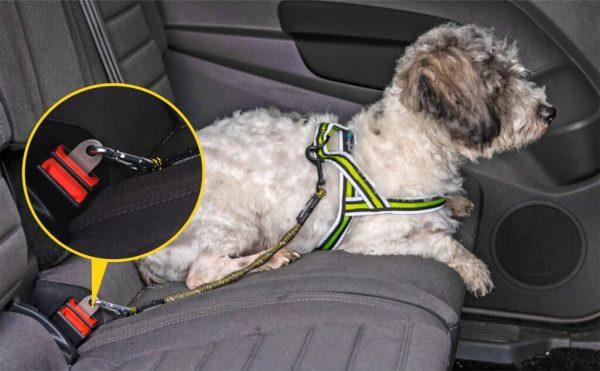 IdeaLeash Flextender adapter proti vlečenju na povodcu MINI