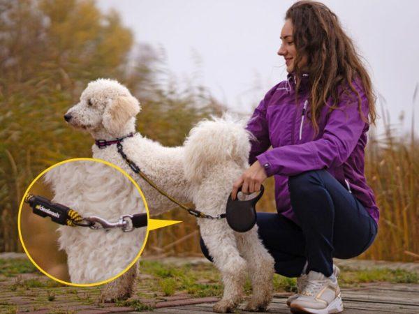 IdeaLeash Flextender adapter proti vlečenju na povodcu MINI