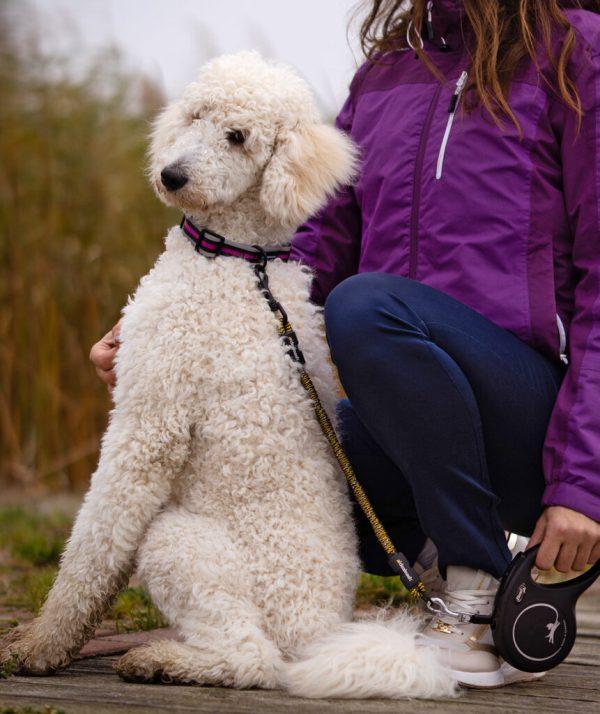 IdeaLeash Flextender adapter proti vlečenju na povodcu MEDIUM