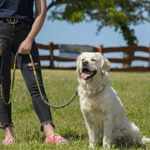 Alternative view of IdeaLeash Trekking povodec proti vlečenju MAXI