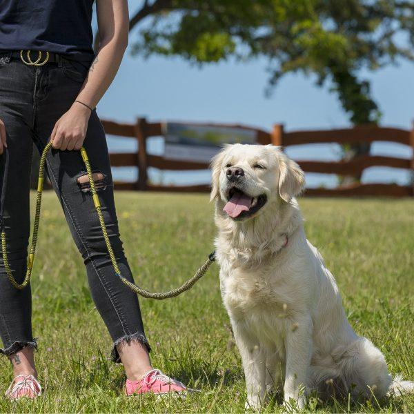 IdeaLeash Trekking povodec proti vlečenju MAXI