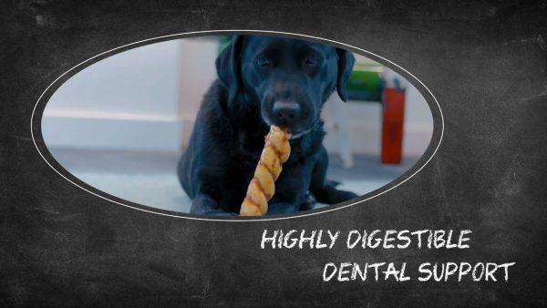 Pasji priboljšek KOLAGEN žvečilna palica z lososom XL 22,5cm - 105g